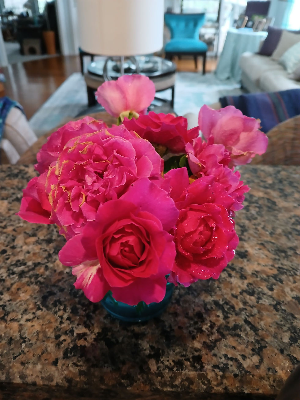SHQ 2 day retreat, gorgeous roses