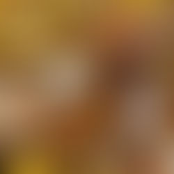 Il Cairo in un Boccone 