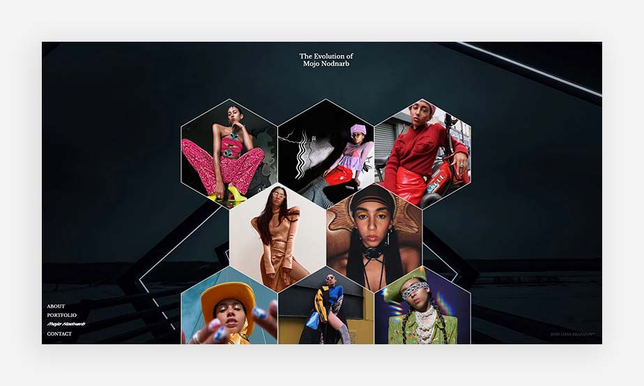 artist website example by lisa brandon - image of portrait gallery
