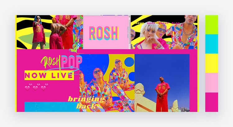 bright website color scheme by Roshini Kumar