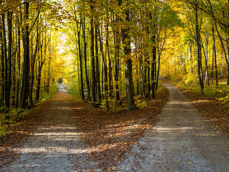 Lamenting the Moral Weight of Caregiving