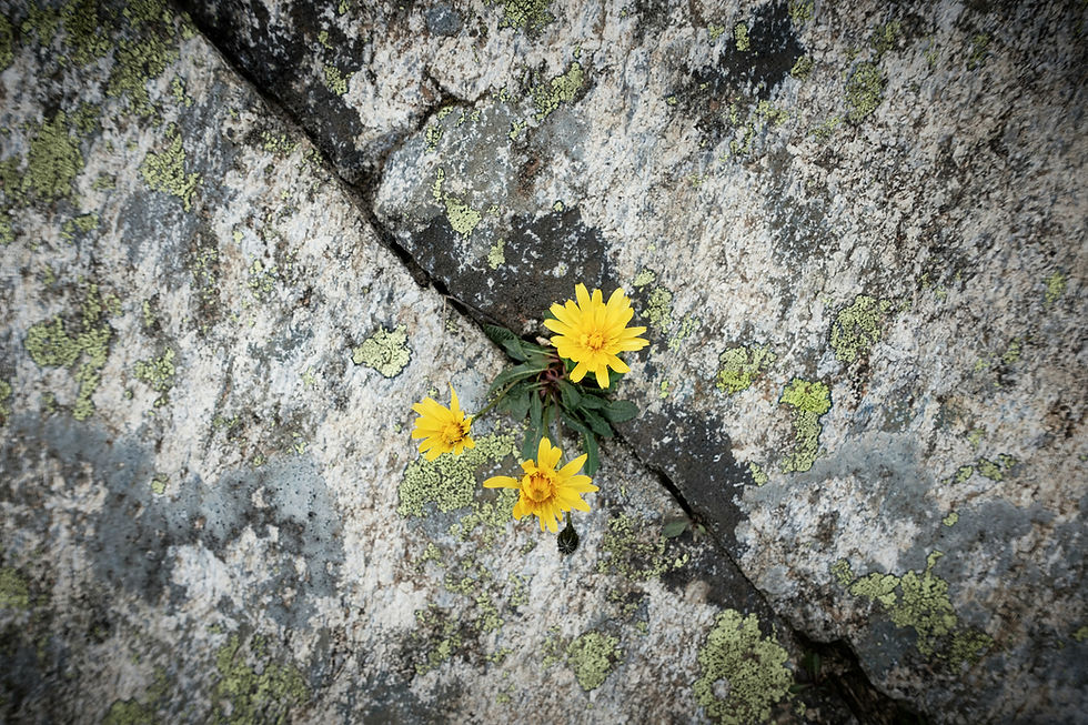 Photo by Tim Oun on Unsplash
