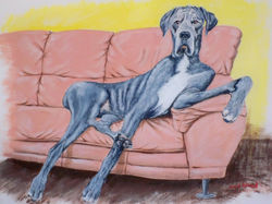 Great Dane