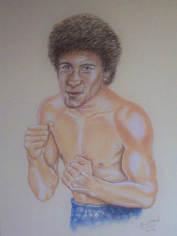 Salvador Sanchez