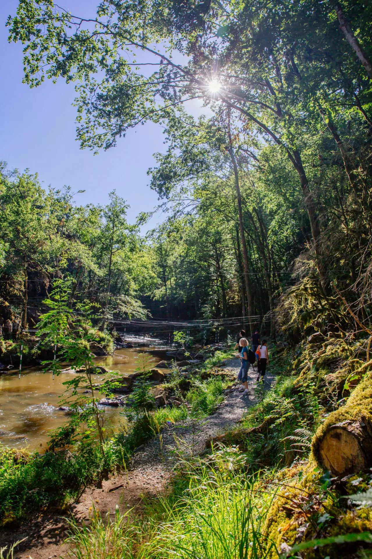 Gorges de l'auvezeres