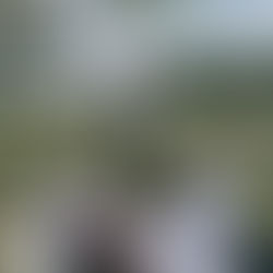 Motivation Before Intervention: The Secret to Helping Struggling Readers Thrive