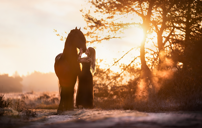 romantische paardenfotograaf limburg