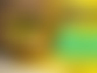 REINTEGROS para la inversión en Prevención de Riesgos del Trabajo