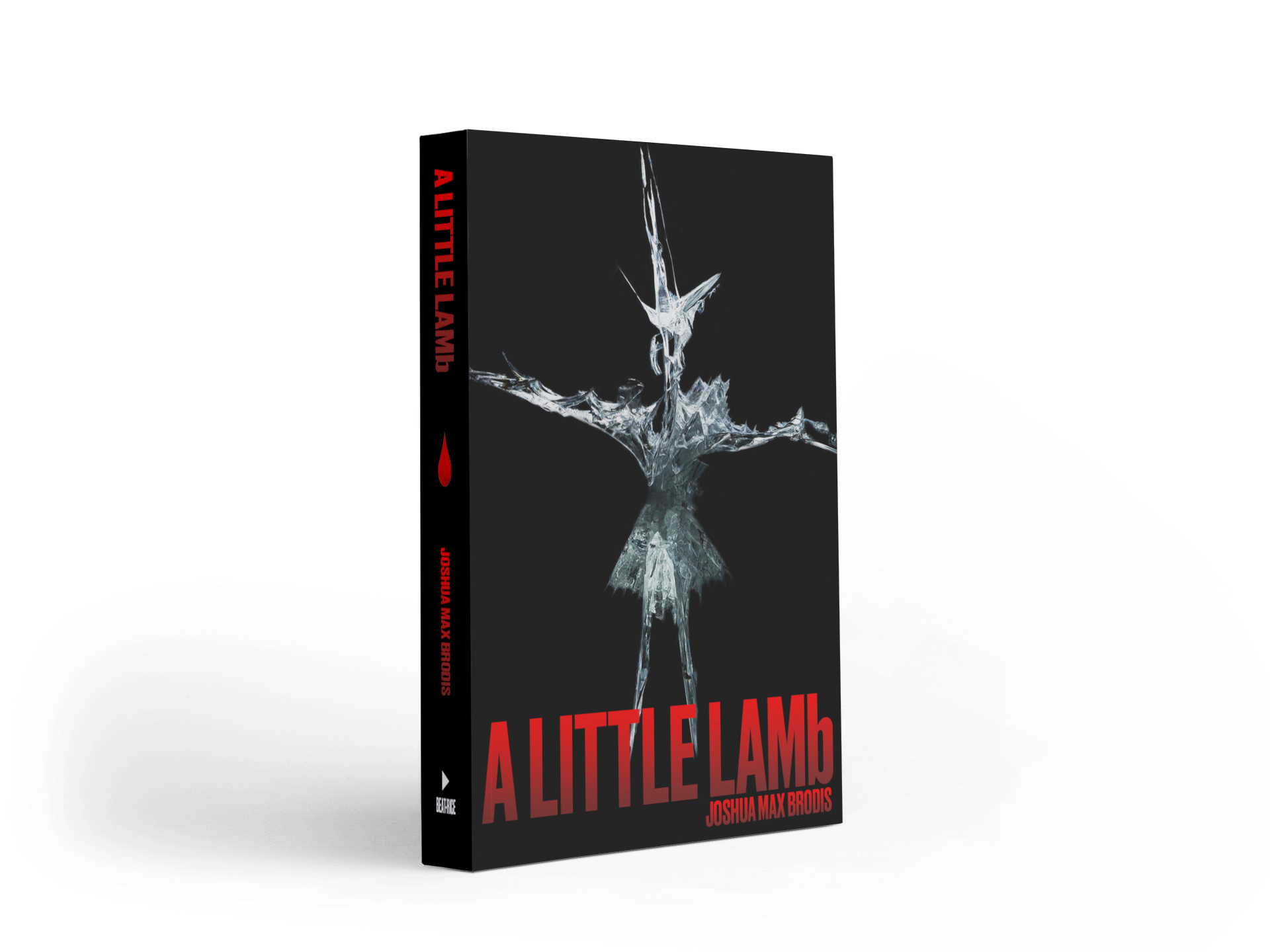 A Little LAMb - SIGNED Paperback