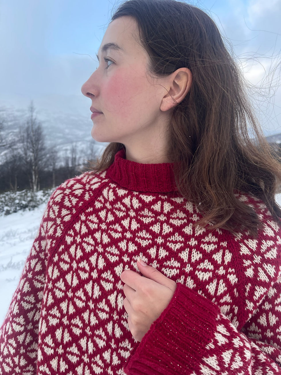 Miniatyrbilde: Vestavind Genser