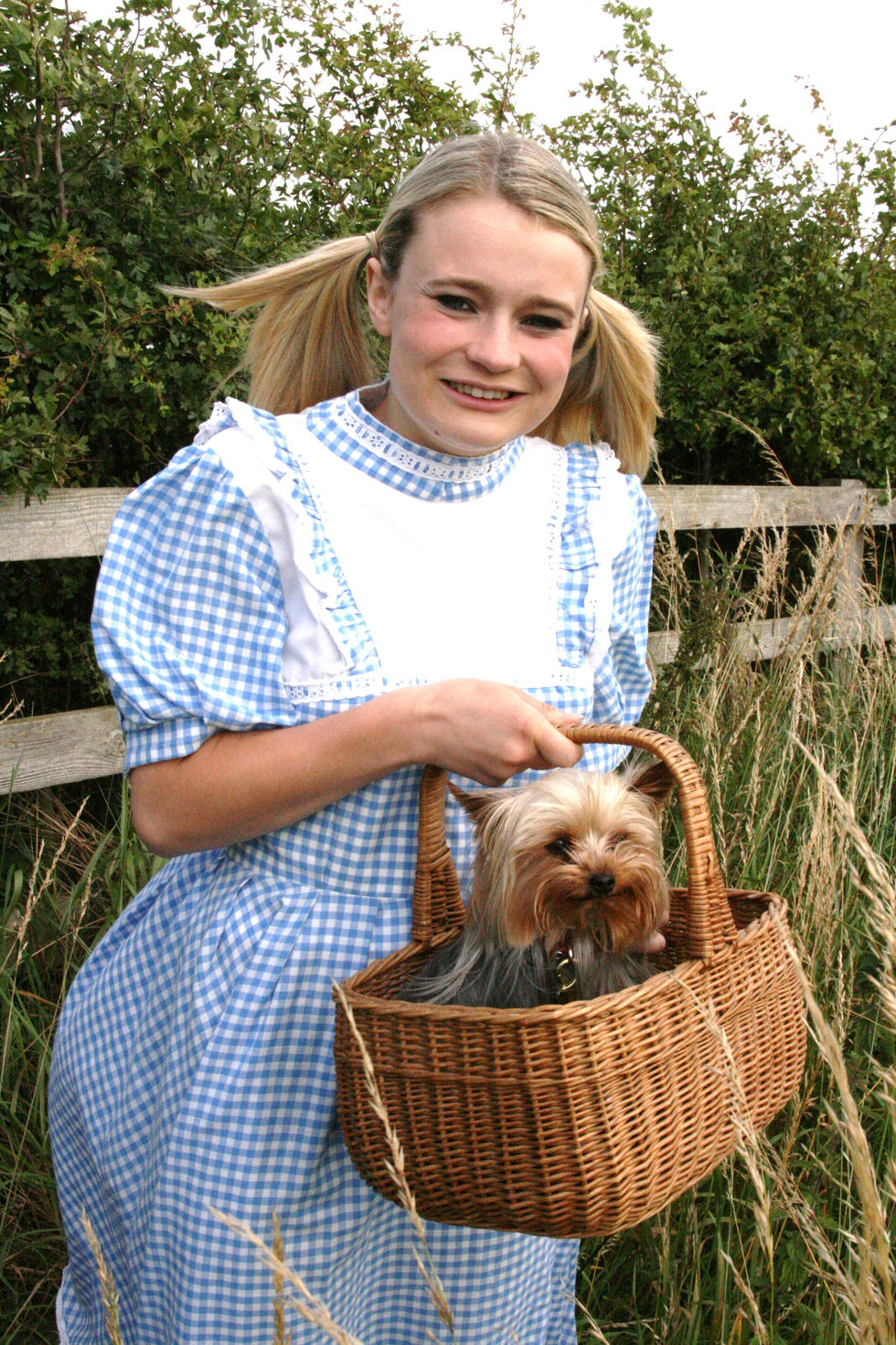 wizard of oz 2011 005