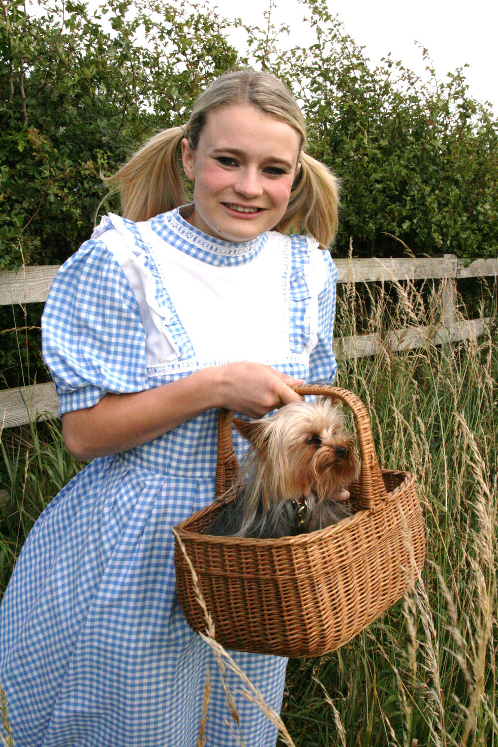 wizard of oz 2011 006