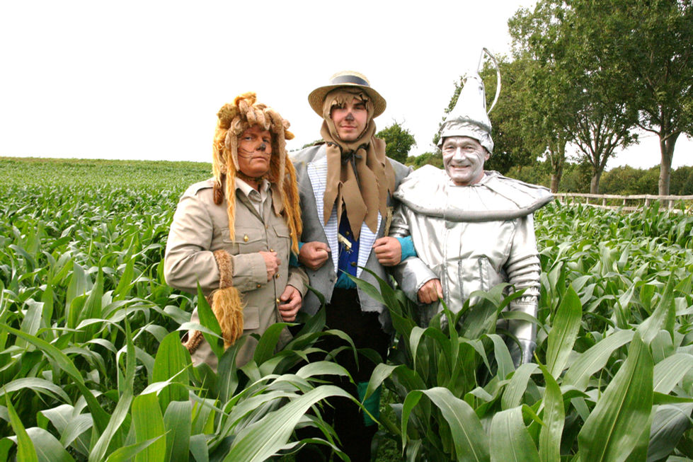 wizard of oz 2011 014