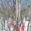 Thumbnail: Bumble Bee 16"