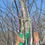 Thumbnail: Muti-Colour 10"