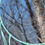 Thumbnail: Blue 12"
