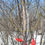 Thumbnail: Bumble Bee 16"