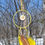 Thumbnail: Yellow Shell 7"