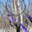 Thumbnail: Black and Blue 12"