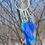 Thumbnail: BlueBlue 4"