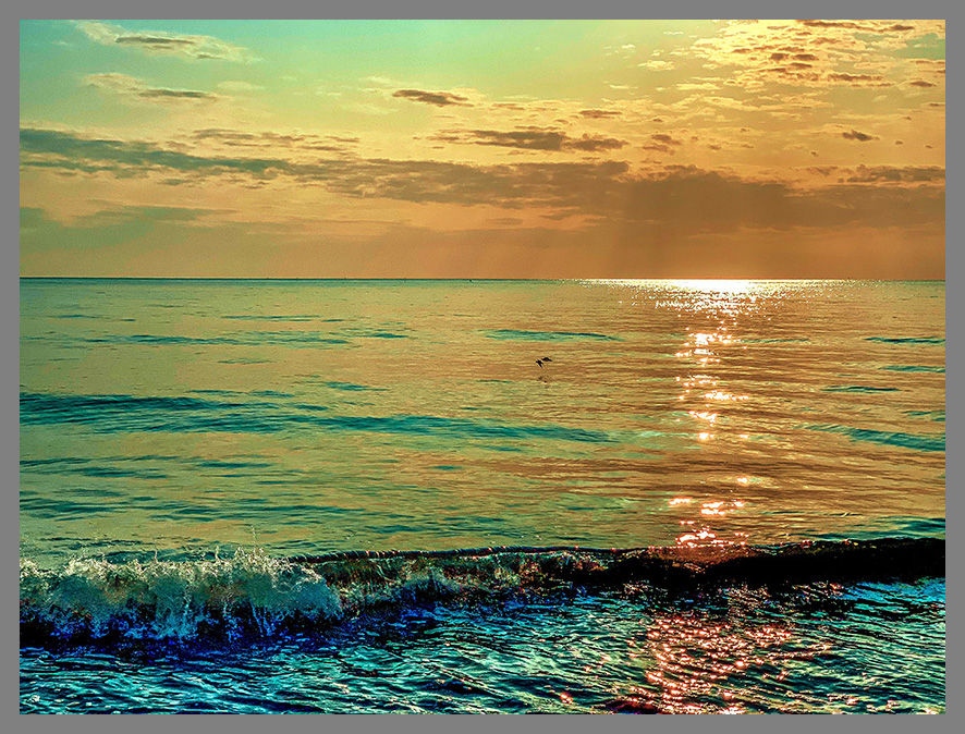 Thumbnail: Dawn Flight (In Copper) Photographic Print