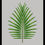 Thumbnail: Tropical Leaf II Photographic Print