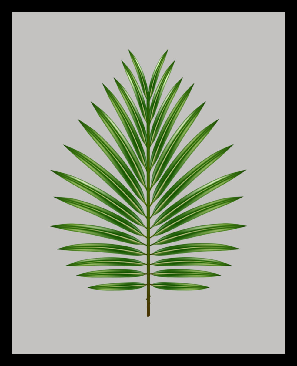 Thumbnail: Tropical Leaf II Photographic Print
