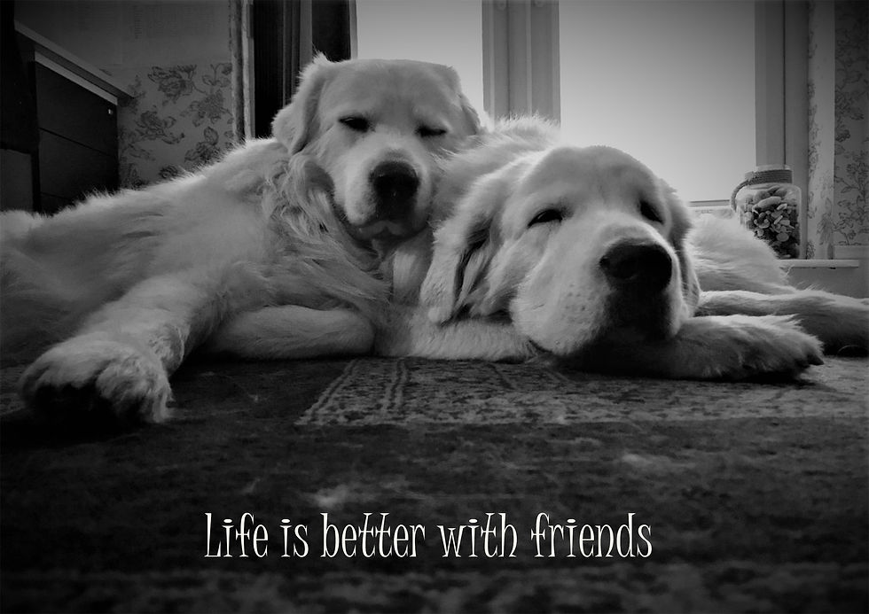 Life Is Better With Friends Greeting Card
