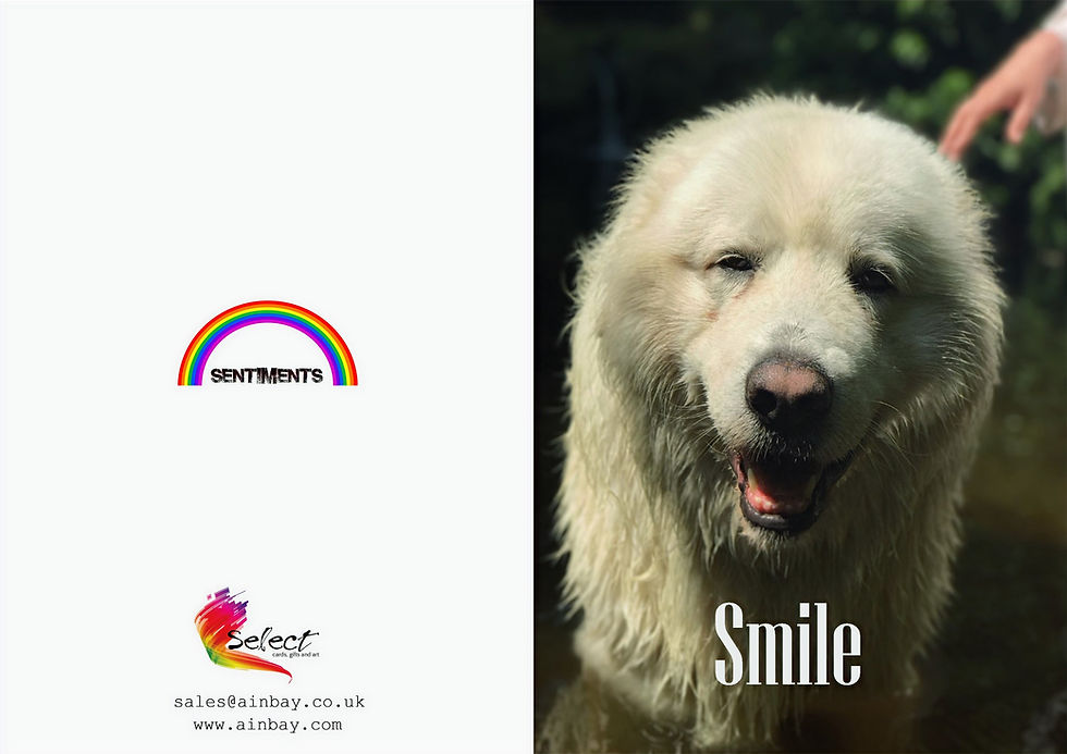 Thumbnail: Smile Greeting Card