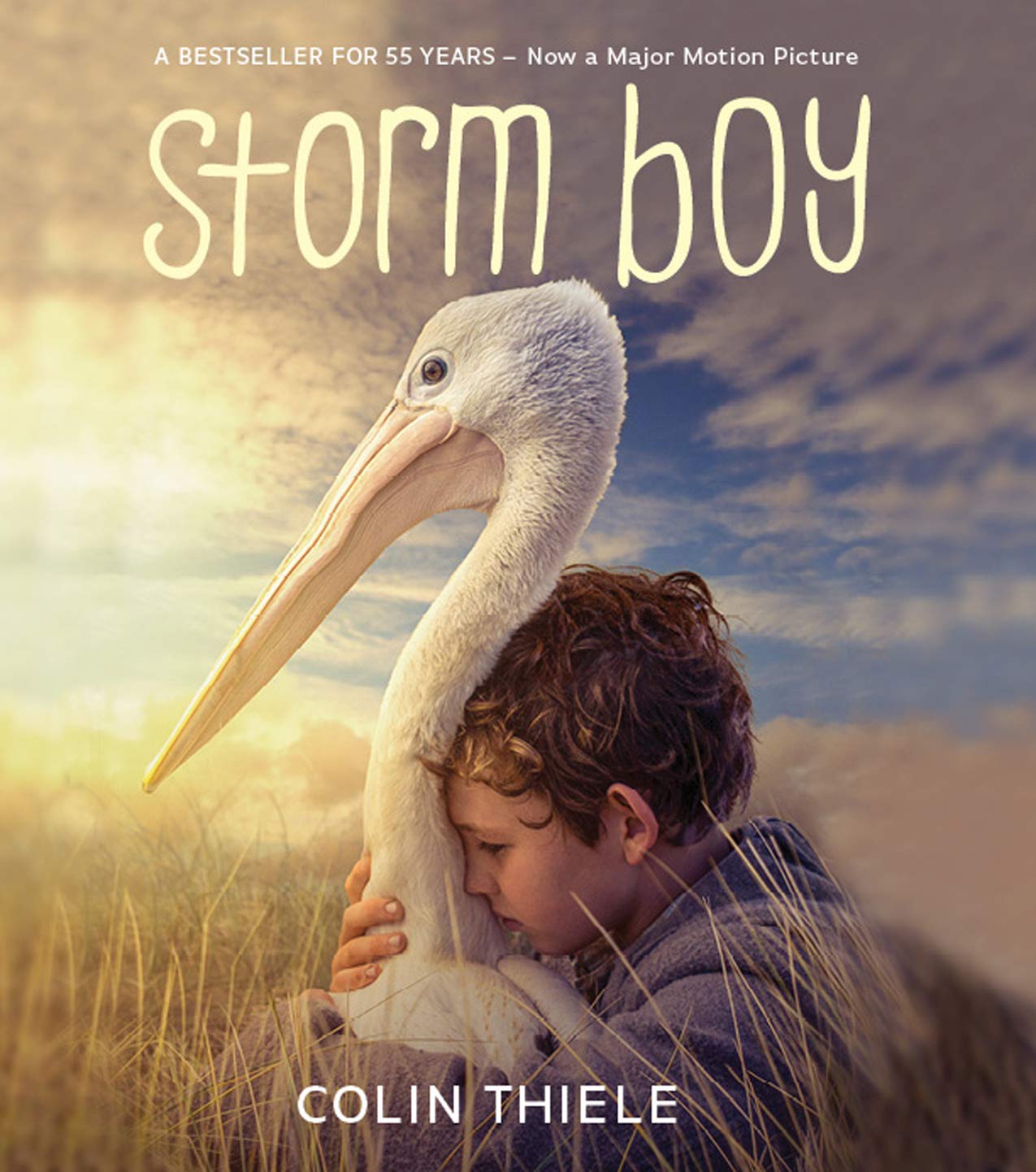 Searching For Storm Boy!