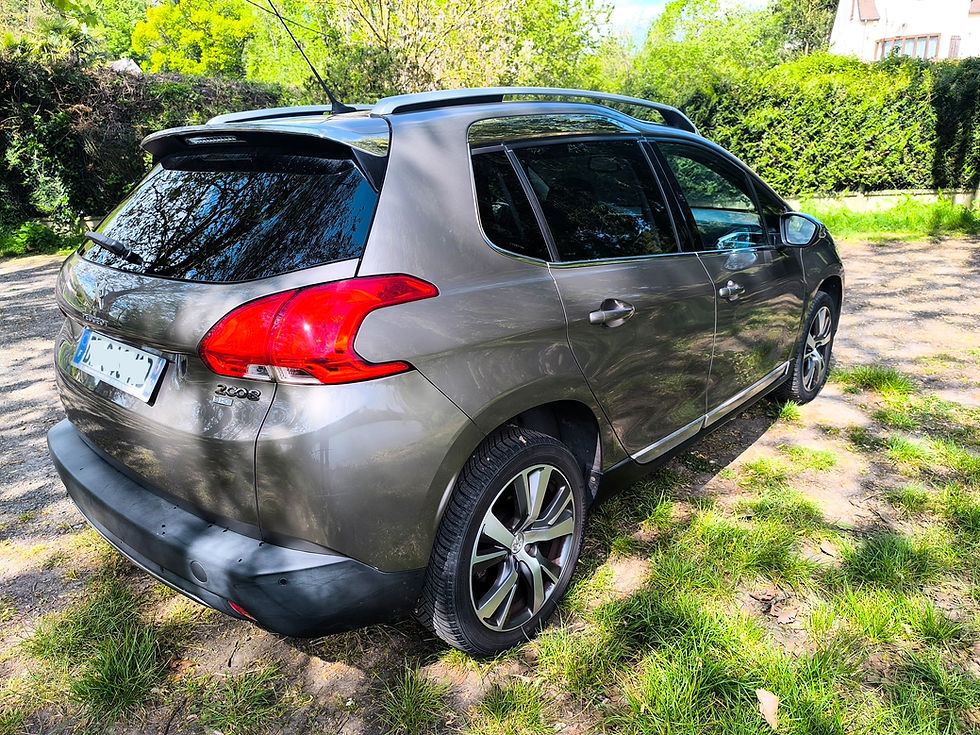 Miniature : Peugeot 2008 1,6 e-hdi 115 ch Féline Titane