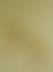 A Flauta de Bambu no Feng Shui