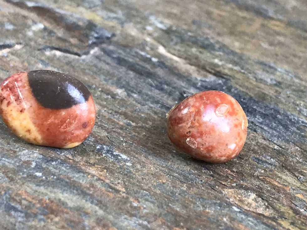Miniature : Natural red stones earrings