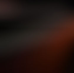 Blending Styles, of the Individual with the Organisation.