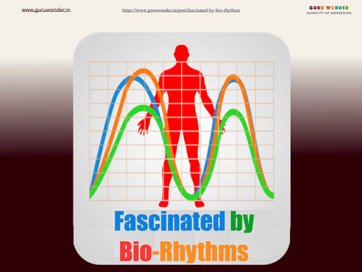 Fascinated by Bio-Rhythms