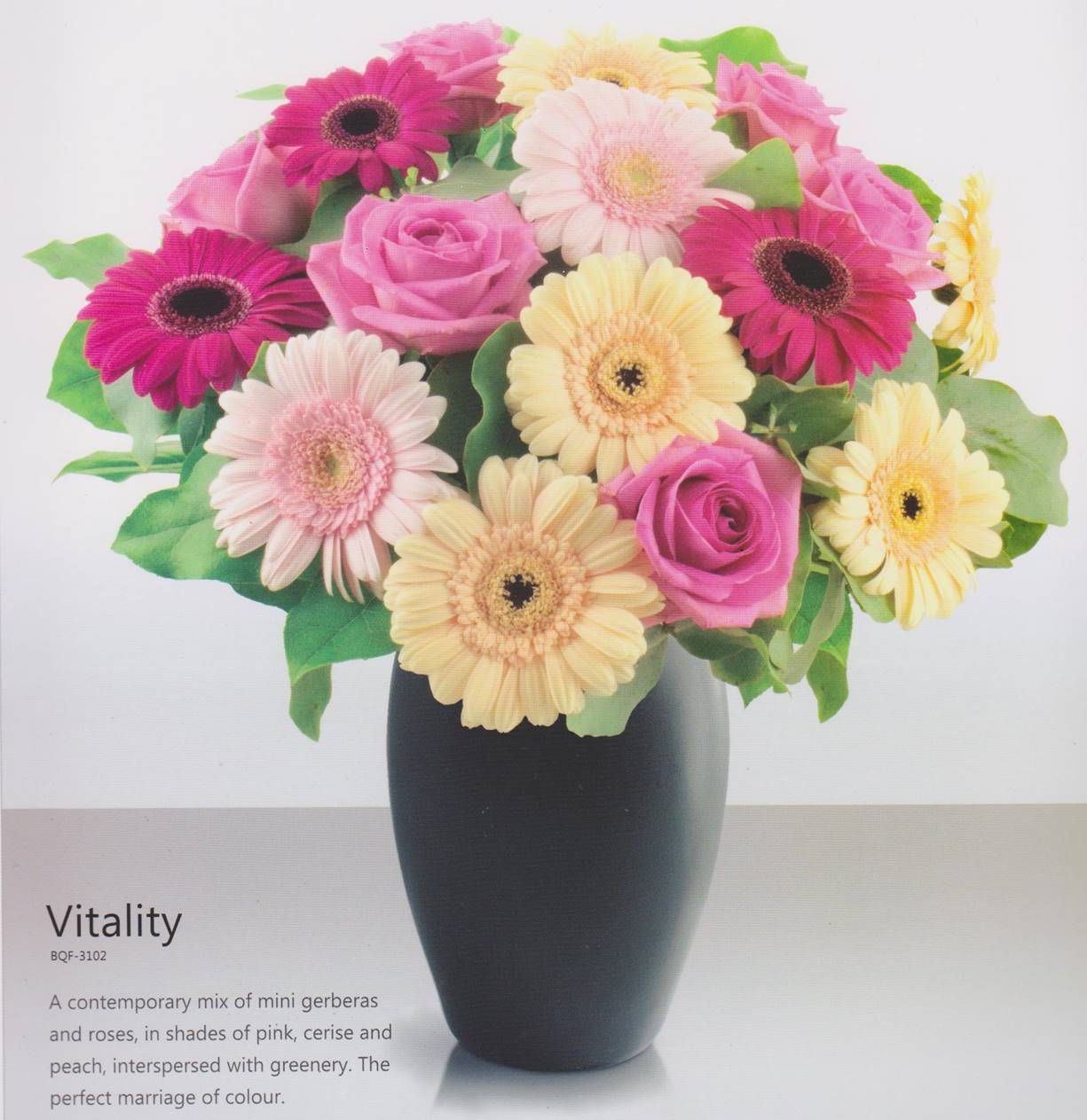 Vitality Arrangement
