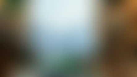 Contrast of old residential buildings in the foreground with modern city skyscrapers in the background, representing urban housing development and real estate growth.