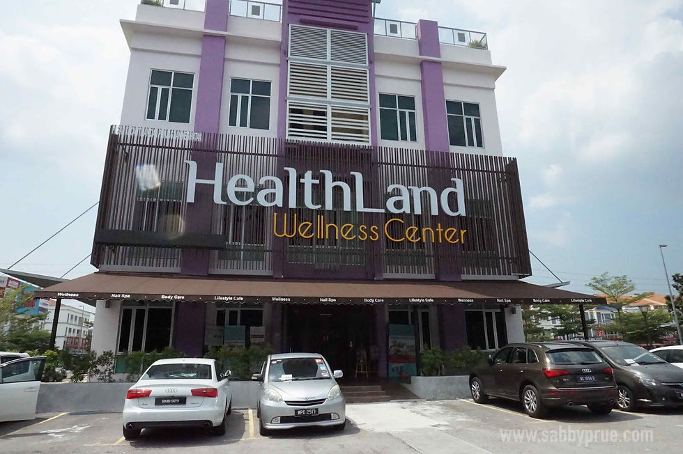 duta-villa-3-setia-alam-near-healthland-wellness-centre.jpg