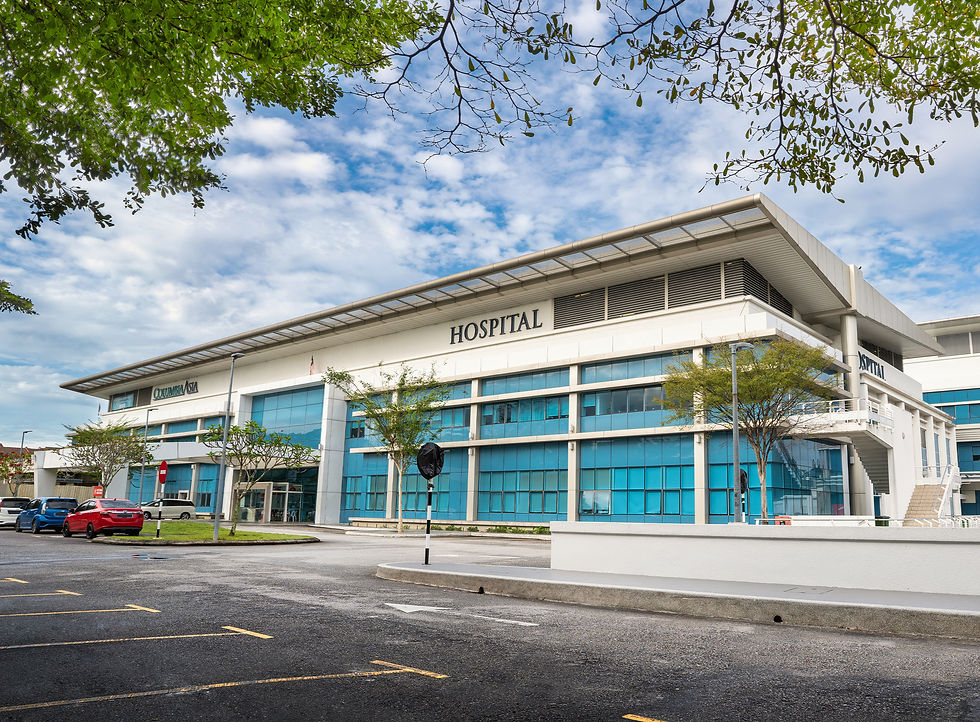 duta-villa-3-setia-alam-near-columbia-asia-hospital.jpg