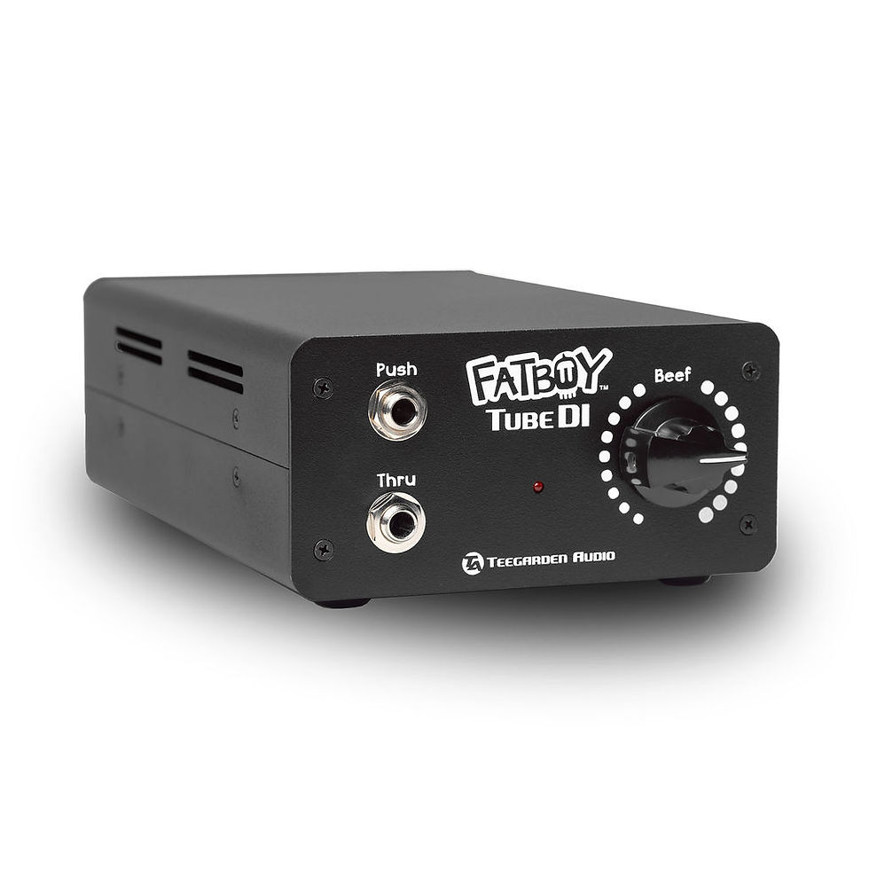 Thumbnail: Teegarden Audio - Fatboy Tube DI - w/HD Power Supply