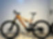 Orbea RISE H10 Lion
