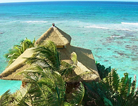 My Thatch Roof - Wholesale Synthetic Thatch Suppliers