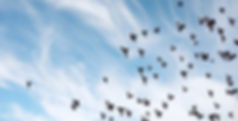 AdobeStock_180503516.jpeg