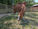 Horse in a round pen at liberty