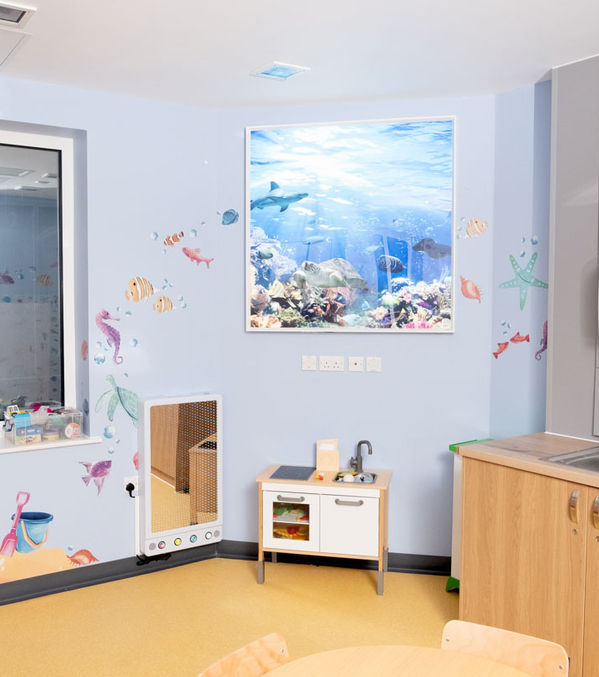 cad cut vinyl wall art colourful fish wall stickers