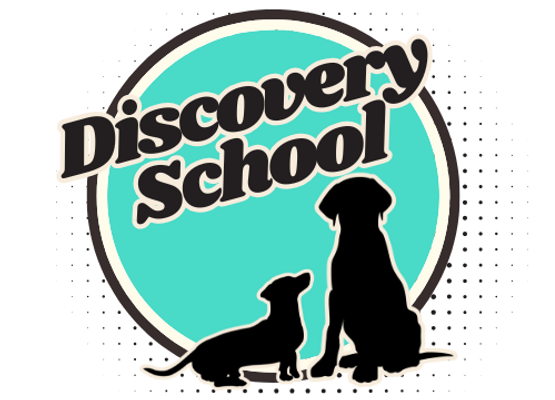 Discovery school logo