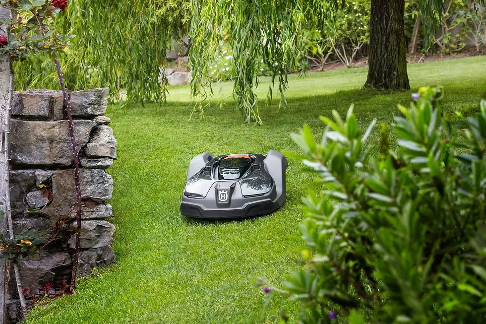Close-up view of a robot mower in lush green grass