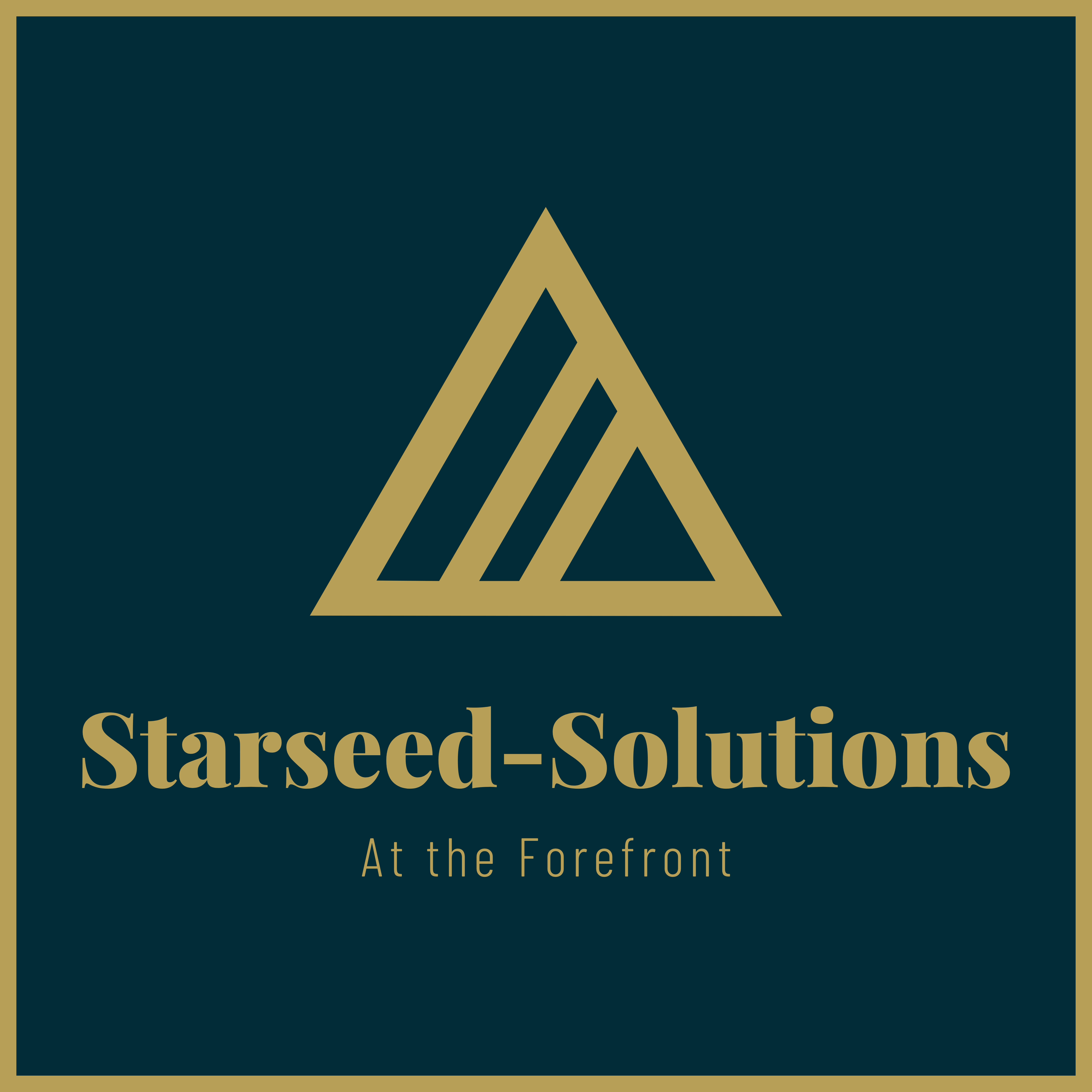 Writer: Starseed Solutions LLC