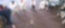slideshow_teambuilding07.jpeg