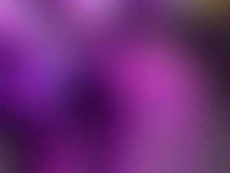 新メニュースタートします❗